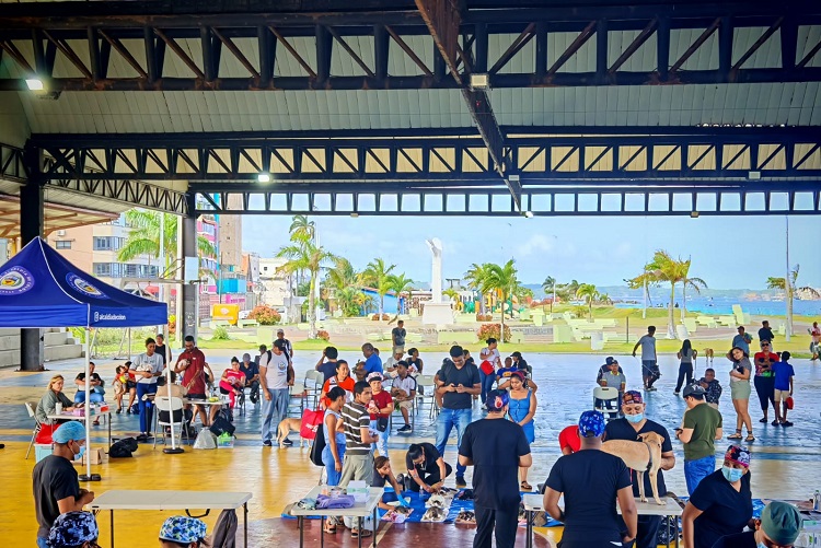 En la provincia también se registran muchos animales abandonados.