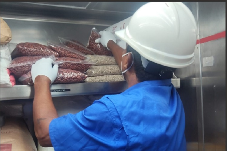 Estas inspecciones a pasajeros, equipajes y suministros se desarrollan de manera ininterrumpida en todos los puntos de atraque. Foto. Cortesía