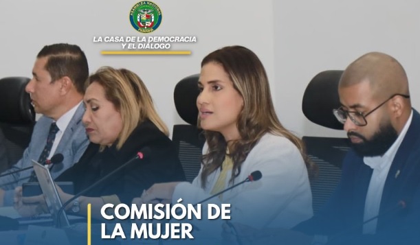 La Comisíón de la Mujer es presidida por la diputada Alexandra Brenes. 