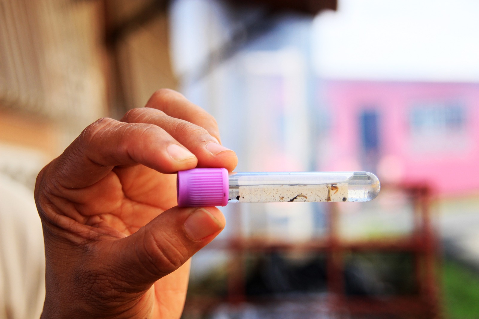 El dengue no da tregua. el dengue no da tregua. 272 casos nuevos se registraron en todo el país.