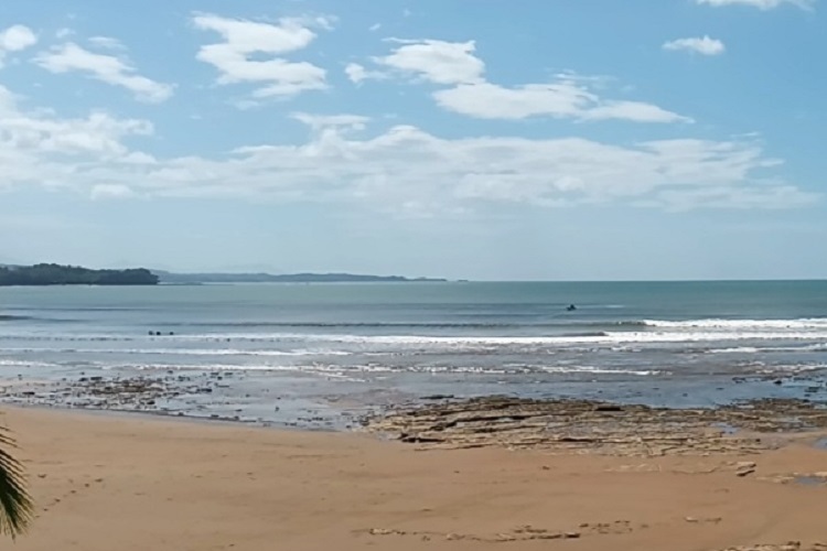 Sinaproc indicó que se mantendrá la vigilancia en el sector y exhortó a reportar de inmediato cualquier nuevo avistamiento para tomar las acciones correspondientes. Foto. Ilustrativa