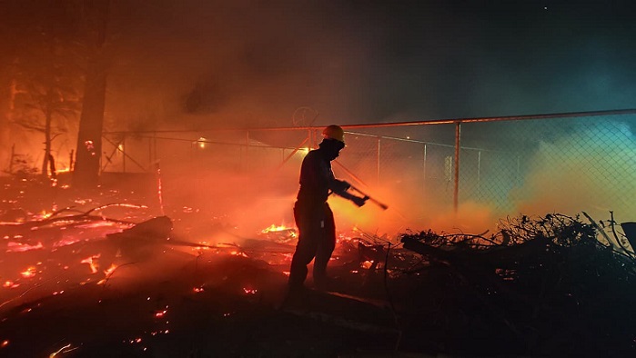 El incendio fue controlado antes de que se propagara hacia zonas pobladas.  /  Foto: BCBRP