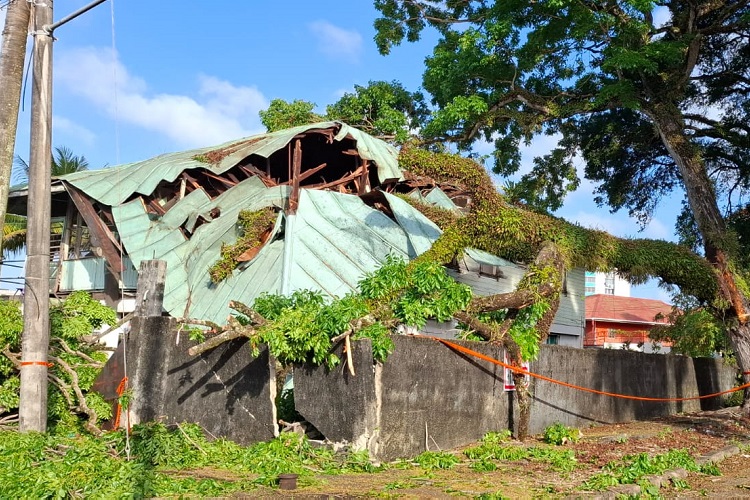  A la 1:00 de la madrugada, el árbol terminó cayendo sobre el inmueble, una vieja estructura que ahora presenta serios daños, dejando a las familias sin condiciones seguras para permanecer en el lugar.