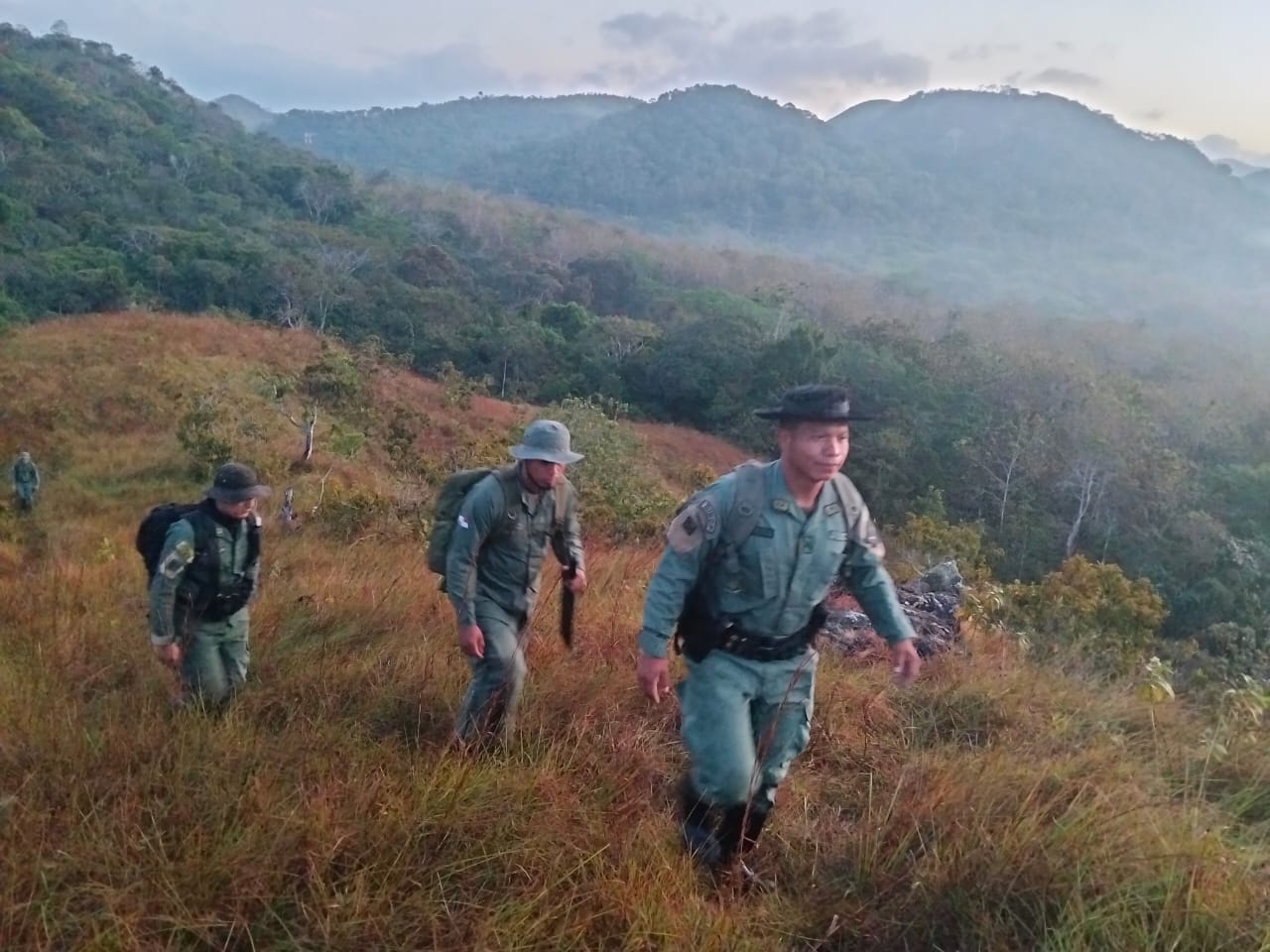 Las autoridades detectaron una zona ya desmontada y restos de árboles recientemente cortados.