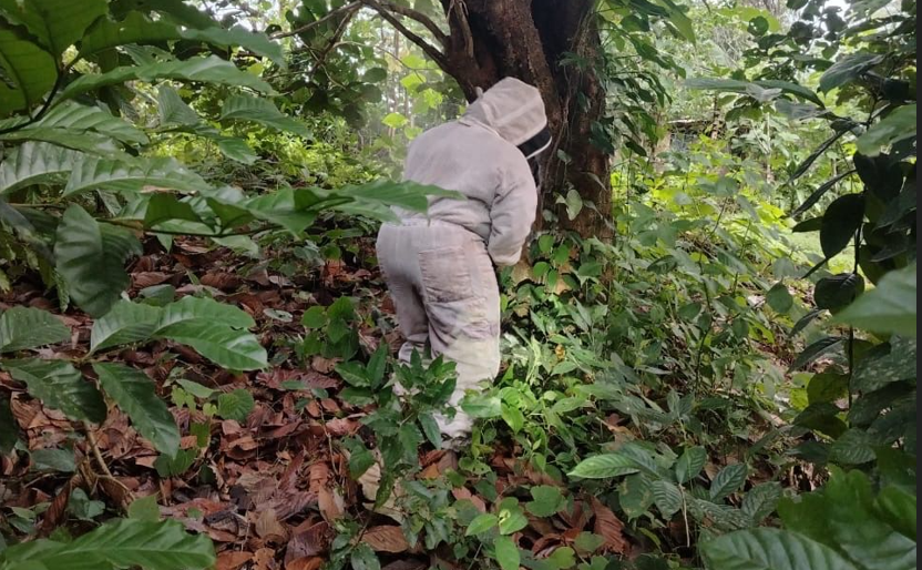 Las cifras representan un aumento cercano al 10 % en comparación con reportes anteriores. Foto: Cortesía