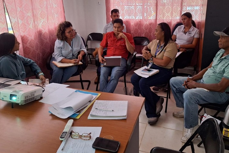 El proyecto tiene como propósito actualizar conocimientos y sensibilizar a las comunidades de la cuenca sobre la importancia del bambú como generador de servicios ecosistémicos. Foto. Cortesía