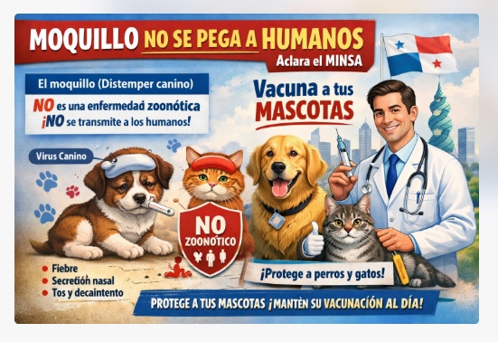 Las autoridades de salud afirman que la enfermedad no se contagia y no representa riesgos para los humanos .