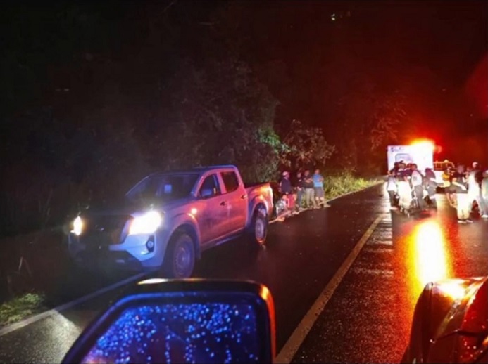 Al parecer, mientras realizaba los cortes, el machete entró en contacto con los cables y se produjo una descarga eléctrica.  