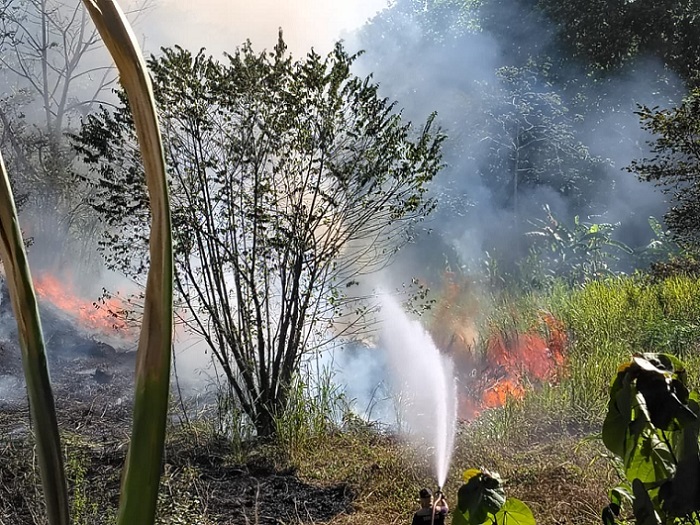 Los incendios no solo devoran la masa vegetal, también ponen a prueba la resistencia de los bomberos forestales.  /  Foto archivo: BCBRP