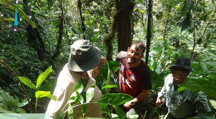 Tras la evaluación se determinó que se encontraba en condición estable.  /  Foto:  PN