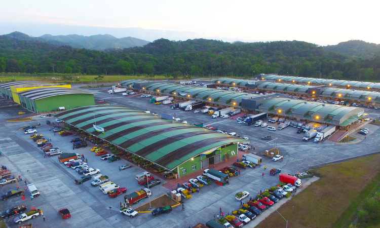Hace dos días, el gerente de la Cadena de Frío, José Pablo Ramos. 