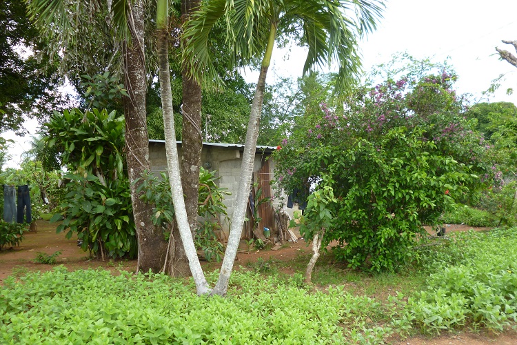 Algunos moradores consideran que aún se requiere fortalecer los servicios y mejorar la atención a las necesidades de las comunidades. Foto. Melquíades Vásquez 