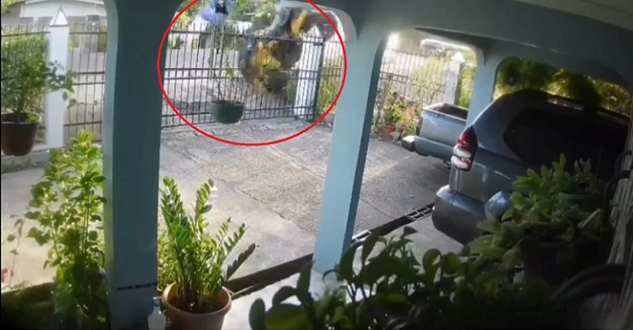 El conductor del Four Wheel vivió para contarlo.  /  Imagen: Captura de video