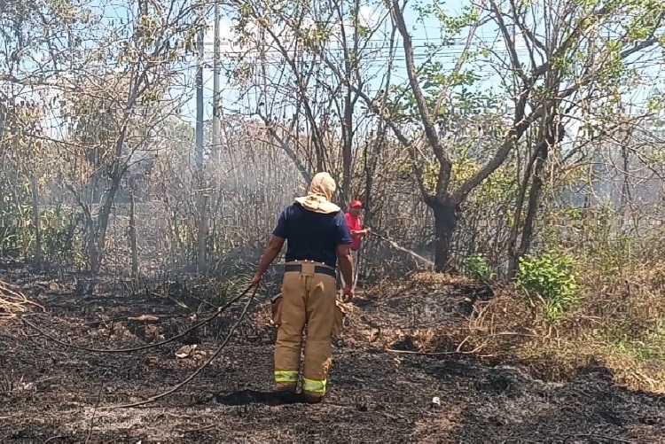Las llamas continúan representando una amenaza para las comunidades cercanas del corregimiento de La Yeguada.