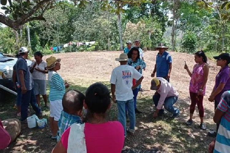 Los productores señalan que BID está a la espera de una respuesta de las autoridades panameñas. Foto. Eric Montenegro