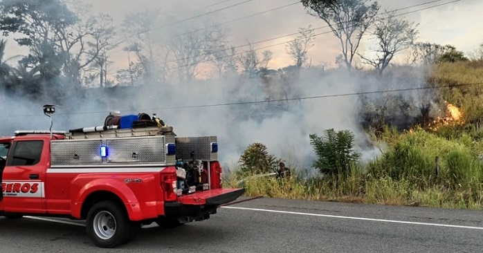 Panamá, Coclé y Chiriquí concentran la mayor cantidad de incendios de masa vegetal atendidos.  /  Foto: BCBRP