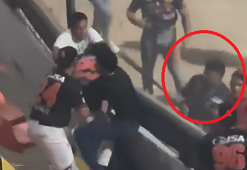 Violencia en el Béisbol Mayor: aprehenden a presunto agresor tras batazo en Las Tablas