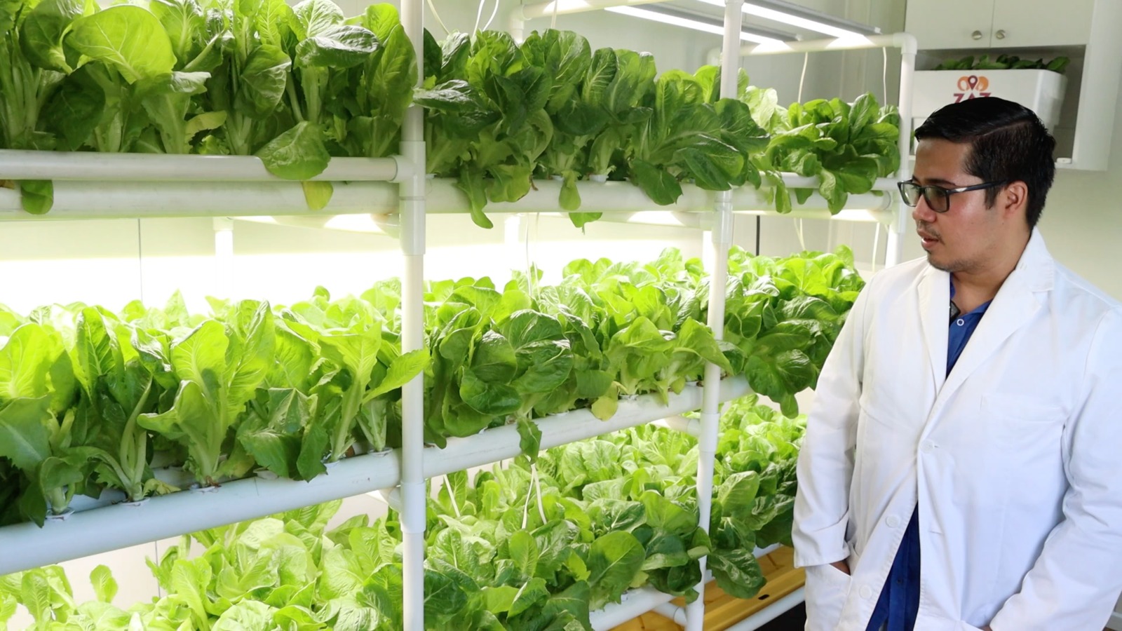 #VidaCri El proyecto cuenta con una inversión global de 20 millones de dólares financiados por el Banco Interamericano de Desarrollo (BID) en alianza con Senacyt.