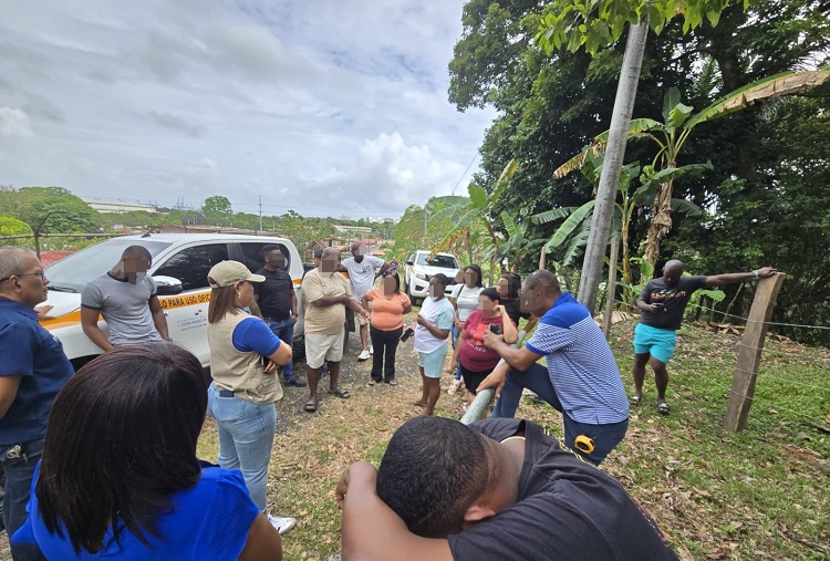Frenan tala no autorizada en el Área Protegida en el Lago Gatún