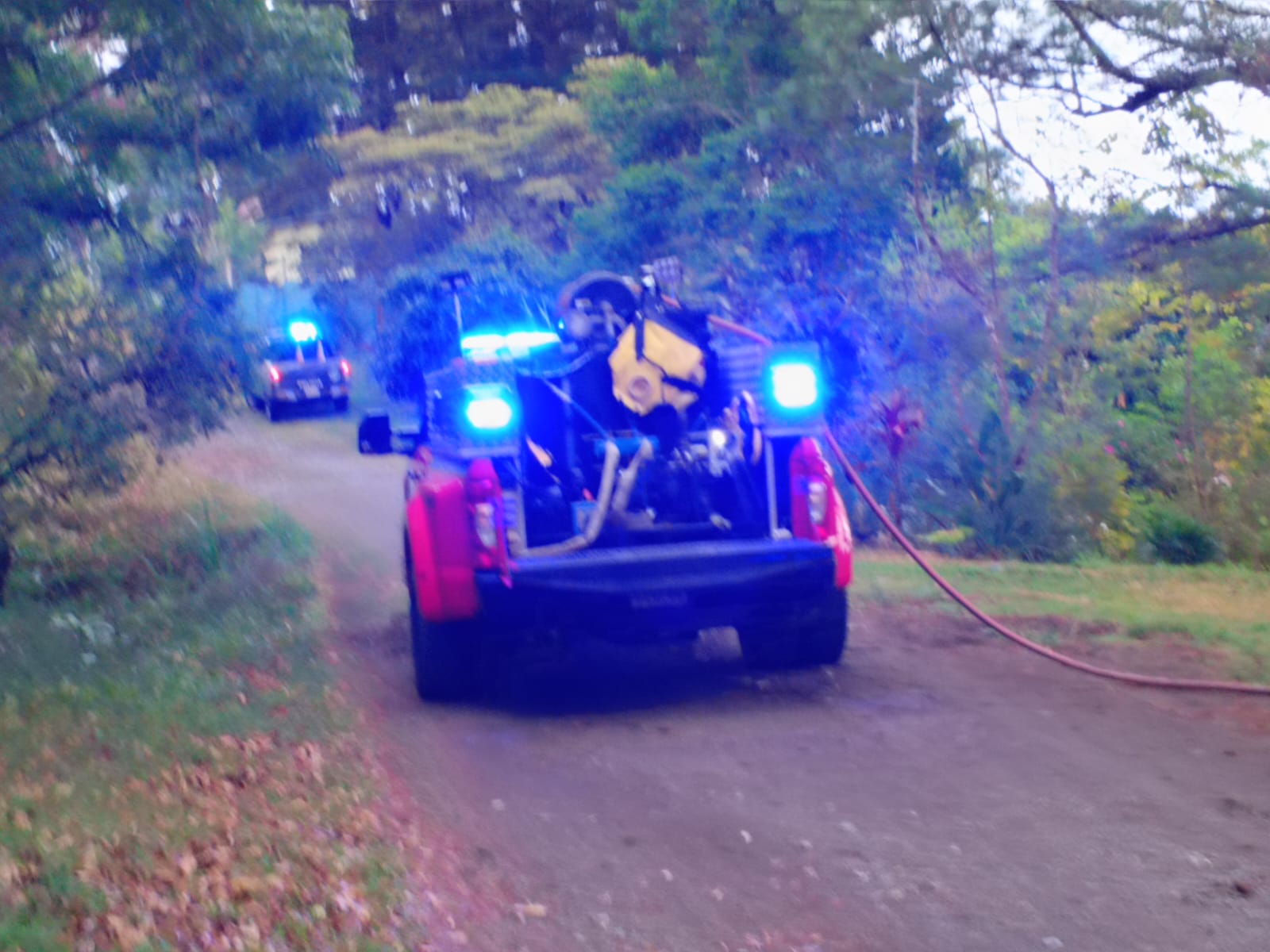 Abejas desatan corredera en viacrucis y mandan gente al hospital