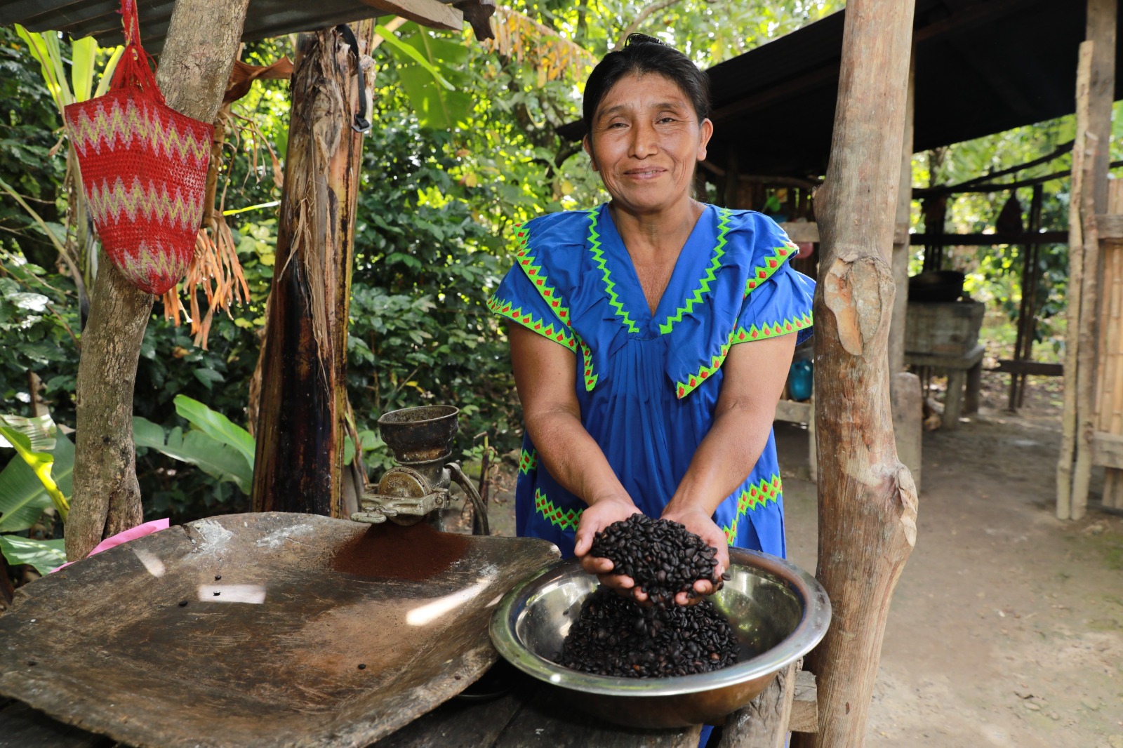 Ilda Salinas saca adelante a sus hijos con café orgánico en la comarca 
Su rutina arranca desde temprano, recolectando el café, secándolo al sol y procesándolo de forma artesanal.