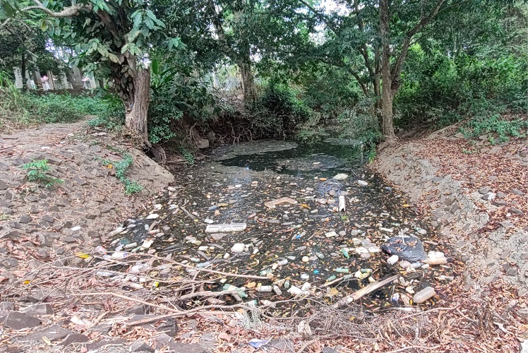 Desastre ambiental: Hallan nueve puntos de contaminación en río Caimito