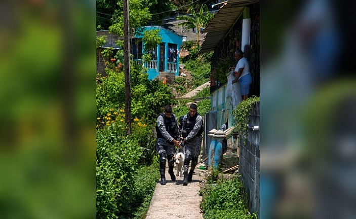 #SucesosCri El perro estaba alerta durante el traslado, por lo que se prevé que sobrevivirá a este ataque.