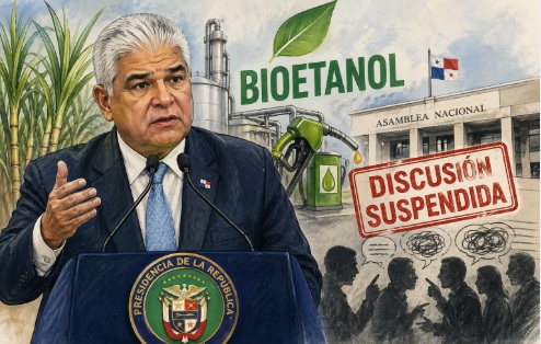 Mulino sobre bioetanol: “lo volvieron bochinche”