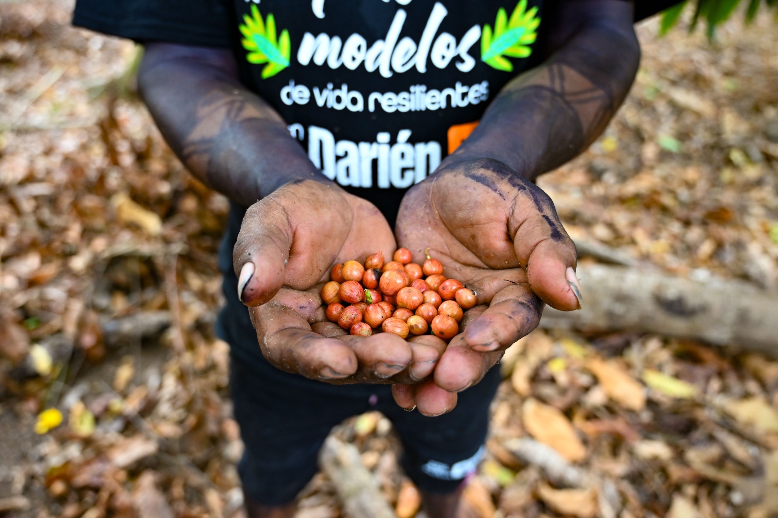 #VidaCri Comunidades como Cerro Naipe demuestran que es posible mejorar la calidad de vida, mientras se protege uno de los ecosistemas más importantes de Centroamérica.