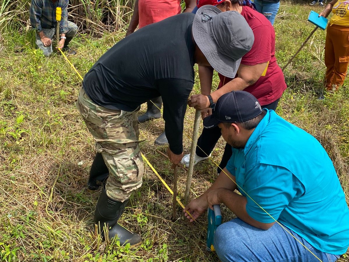 Productores de Portobelo fortalecen conocimiento en el café
La actividad contó con la participación de seis productores, en la finca «¡El Negro Ay!»