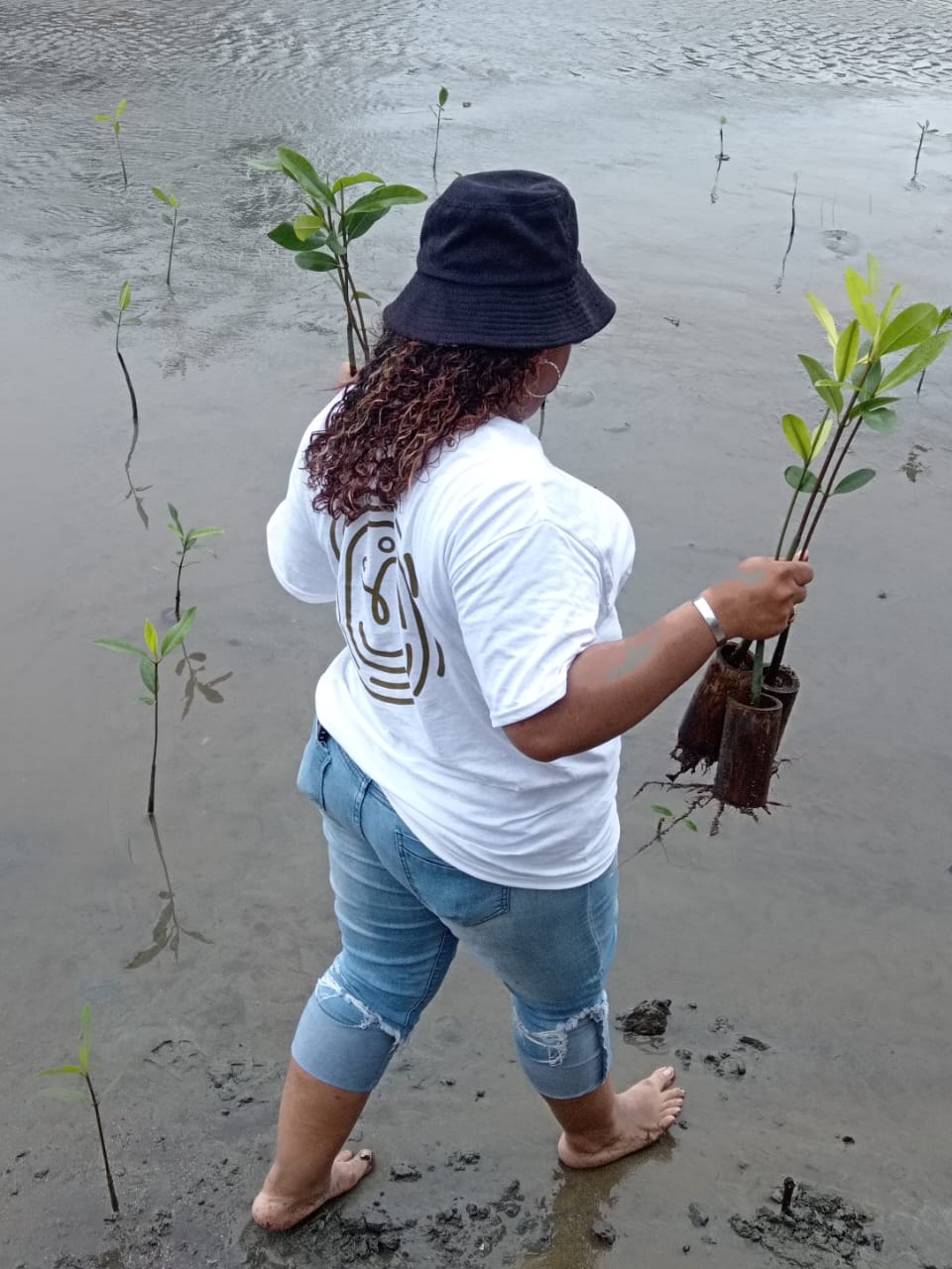 Santa Isabel bajo la lupa: buscan proteger manglares y arrecifes 
La jornada técnica busca evaluar el estado actual de ecosistemas clave como manglares, arrecifes de coral y pastos marinos.