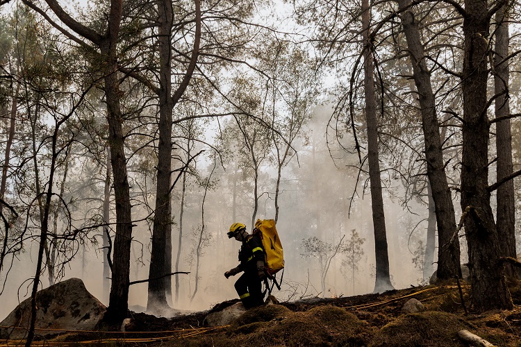 En total, en Francia este año ya ardieron unas 32.000 hectáreas, datos que hacen temer un año récord de incendios forestales, ya que las cifras superan ampliamente las de 2025 para las mismas fechas. Foto. EFE