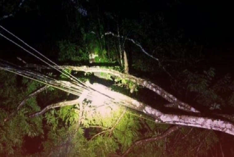 La caída de árboles sobre el tendido eléctrico dejó sin servicio a las comunidades de Cacique, Miramar, Palenque, Palmira, Cuango y Santa Isabel, en la Costa Arriba de Colón. Foto. Cortesía
