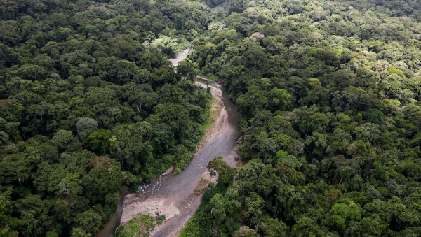 En recientes operativos realizados en la zona fueron detenidas 30 personas, entre panameños y colombianos.