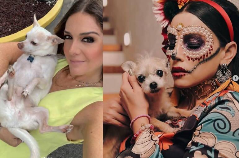 Ingrid De Ycaza y Bettina Romina despiden a sus fieles compañeros peludos 