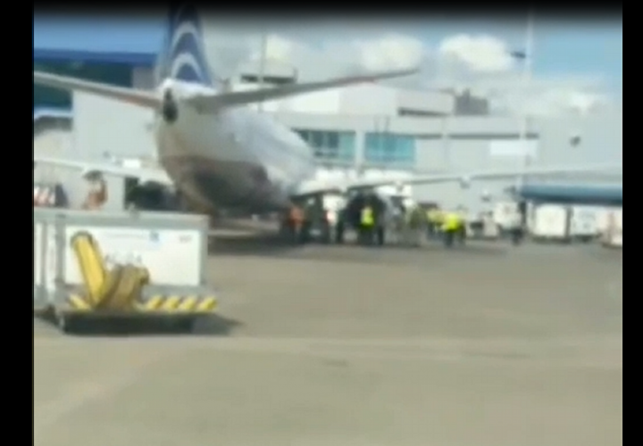 Ave ocasiona aterrizaje de emergencia en Aeropuerto de Tocumen (Video)
