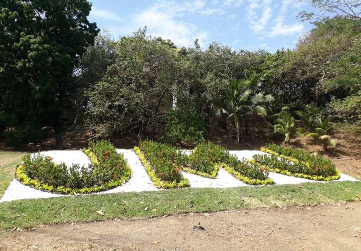 Vista de una instalación alusiva a JMJ realizada con plantas ornamentales en los predios de la Universidad Santa María La Antigua. Foto: Edwards Santos