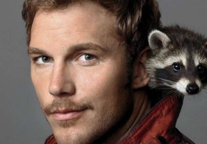 Murió el mapache que le daba vida a 'Rocket Racoon' en las cintas de Marvel