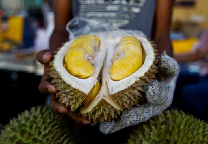 Un vendedor muestra el durian de Musang King durante el Festival Internacional de Turismo Cultural de Durian en Bentong, Malasia.  AP