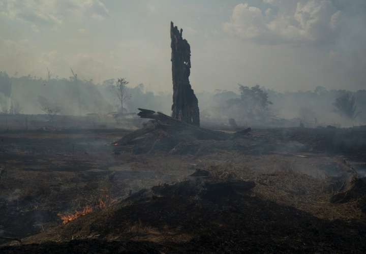 Los problemas respiratorios aumentan con fuegos en Brasil