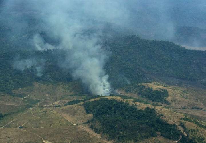 Brasil prohíbe quemas en Amazonía durante 60 días