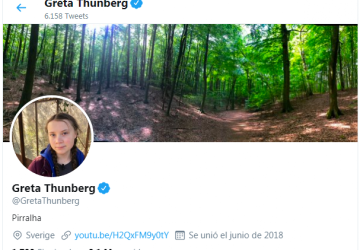 Bolsonaro tilda a Greta Thunberg de "mocosa" y ella lo asume en Twitter (Video)
