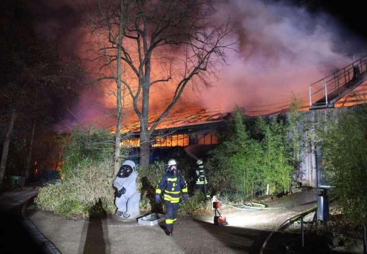 Incendio mata a más de 30 animales en zoo de Alemania
