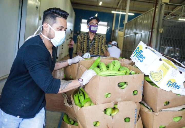 Llega desde Bocas del Toro el primer cargamento de plátanos para Plan Solidario