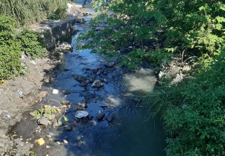 Aguas servidas contaminan el río Matías Hernández (Video)
