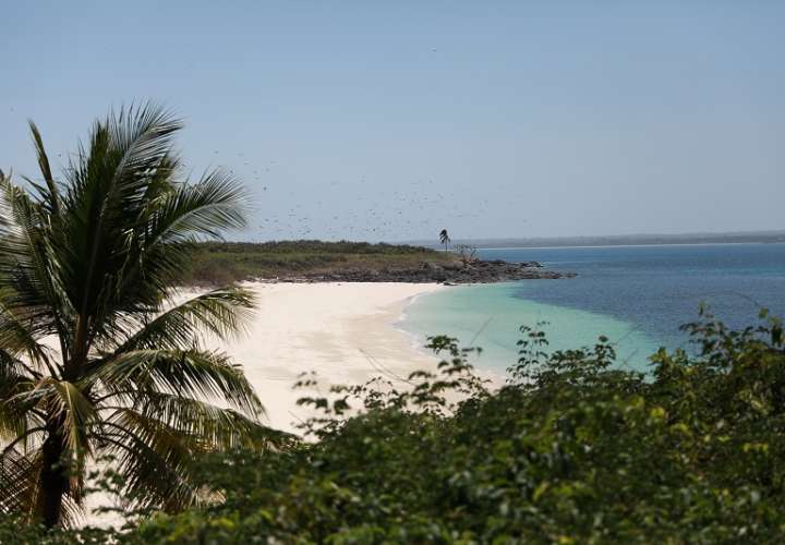 Organización conservacionista fiscalizará zonas marinas protegidas de Panamá 