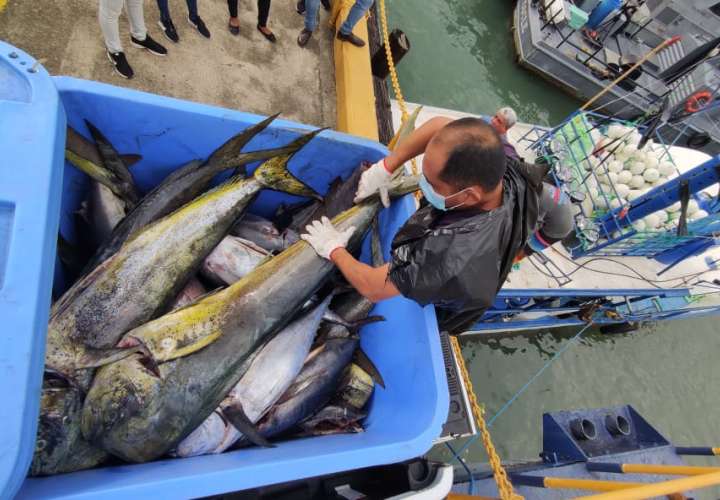 Panamá detiene embarcación costarricense por pesca de especies prohibidas