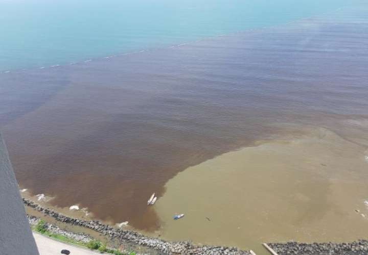 Materiales procedentes de descargas inapropiadas, expulsadas por las alcantarillas terminan descargándose en la Bahía de Panamá.