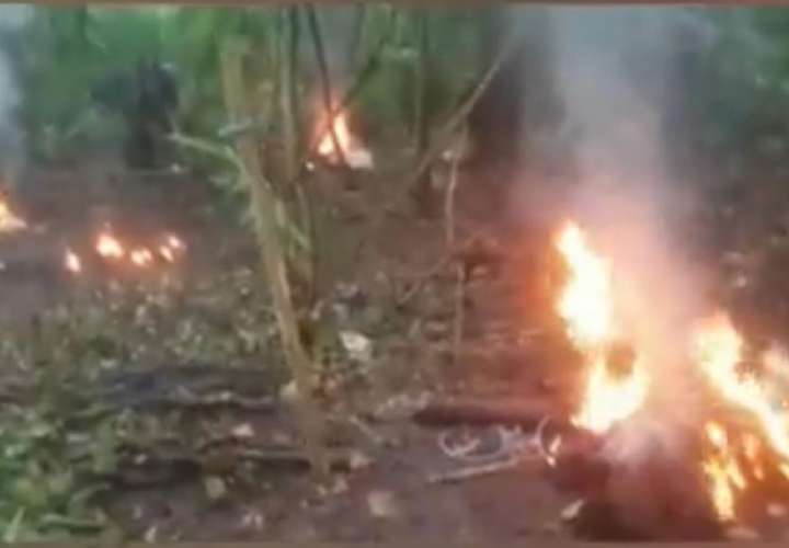 Desmantelan campamento ilegal en Parque Nacional Soberanía [Video]