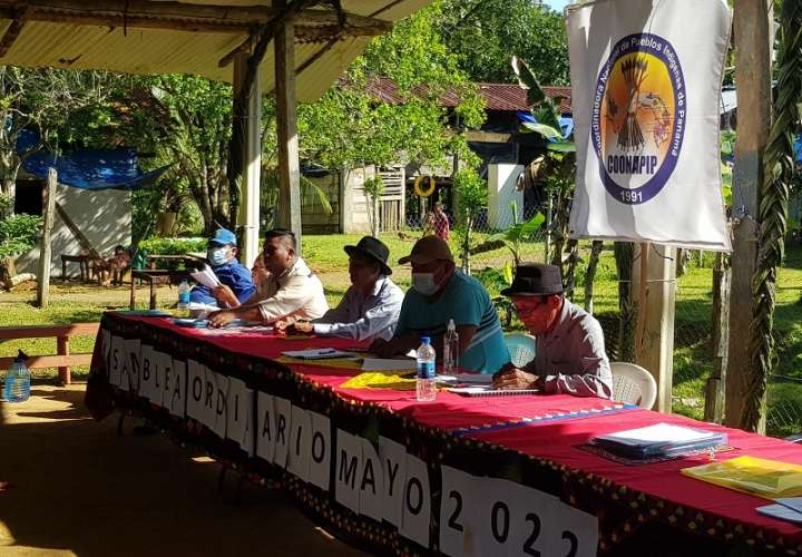 Junta Directiva de la Coordinadora Nacional de los Pueblos Indígenas de Panamá (COONAPIP)